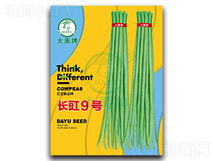 長豇9號-豇豆種子-大禹種業(yè)