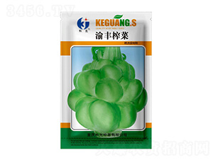 ���Sե��-�ƹ�N��