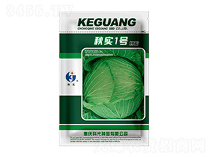 �1̖-�ƹ�N��