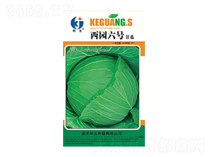 ���@��̖-�ƹ�N��