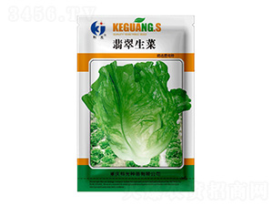 �������-�ƹ�N��