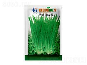 ����������-�ƹ�N��