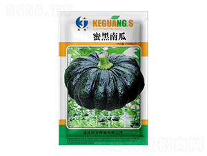 �ۺ��Ϲ�-�ƹ�N��