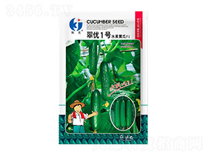 �䃞(y��u)1̖-�ƹ�N��