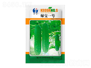 �G��1̖����-�ƹ�N��