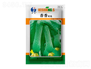 ����z��-�ƹ�N��