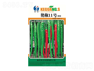 �G��11̖(h��o)-�ƹ�N��