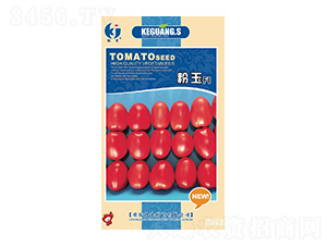 �������-�ƹ�N��