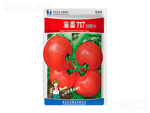 �巬717-�ƹ�N��