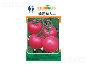 ���818-�ƹ�N��