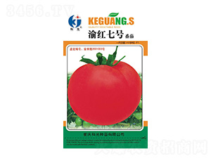 ��t7̖(h��o)-�ƹ�N��