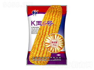 K��6̖(h��o)-�ƹ�N��