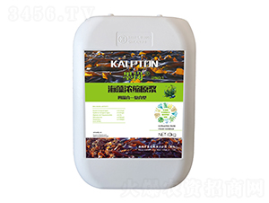 �����sԭ�{-ī��-��˹�r(n��ng)