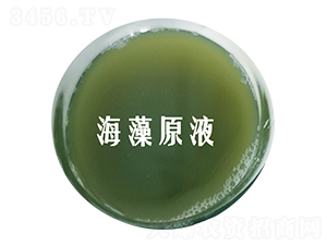 ����ԭҺ-��˹�r(n��ng)