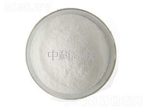 ��ئԭˎ-��˹�r(n��ng)