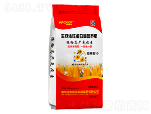 ������Ե���ø�I(y��ng)�B(y��ng)�ʣ���ጵ�10��-���r(n��ng)ʩ���S