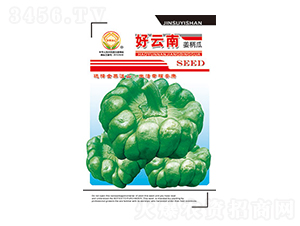 �����ϷN��-������-̫���N�I(y��)