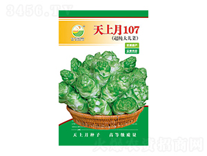 ���˷N��-������107-̫���N�I(y��)