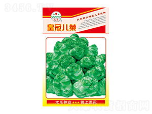 ���˷N��-�ʹڃ���-̫���N�I(y��)