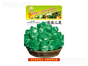 ���˷N��-��B����-̫���N�I(y��)