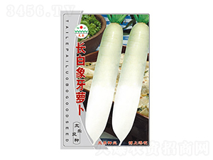 �}���N��-�L�������}��-̫���N�I(y��)