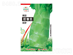 �n�S�N��-̩��������-̫���N�I(y��)