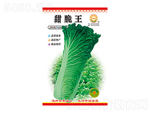 �ײ˷N��-�����-̫���N�I(y��)