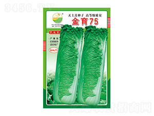 �ײ˷N��-����75-̫���N�I(y��)