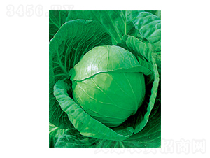 �и�ʮһ���{(l��n)�N��-̫���N�I(y��)