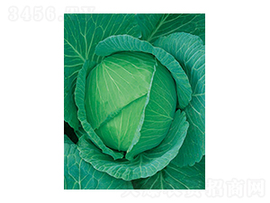 ���Sһ̖(h��o)���{(l��n)-̫���N�I(y��)