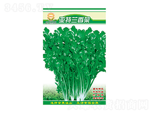 ��˷N��-���m���-̫���N�I(y��)