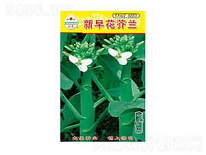 ���m�N��-���绨���m-̫���N�I(y��)