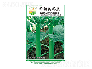 ���m�N��-���������m-̫���N�I(y��)