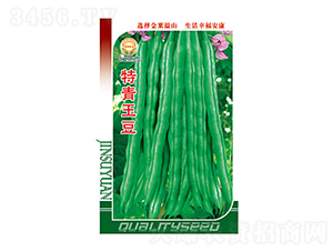 �����N��-������-̫���N�I(y��)