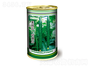 �S�ϷN��-���ؠ�һ̖(h��o)�S��-̫��(l��)�N�I(y��)