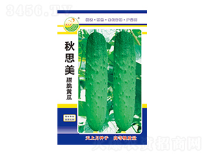 �S�ϷN��-��˼��-̫��(l��)�N�I(y��)