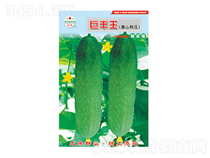 �S�ϷN��-���S��-̫��(l��)�N�I(y��)