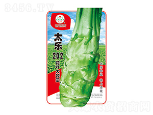 ���˷N��-̫��202-̫���N�I(y��)