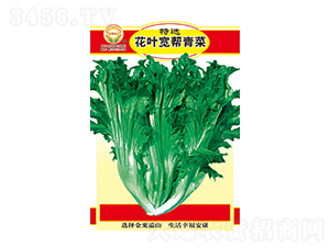 ��˷N��-���x���~�������-̫���N�I(y��)