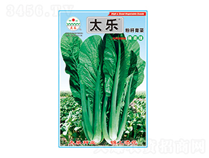 ��˷N��-�ۗU���-̫���N�I(y��)