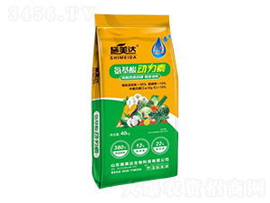 �������(d��ng)����-ʩ���_(d��)