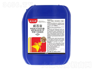 400��/�����ٮ�-��(chu��ng)�|�z-�ĳǿƄ�(chu��ng)