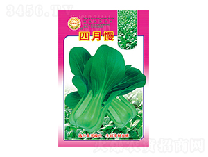 �ײ˷N��-������-̫���N�I(y��)