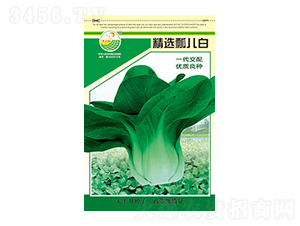 �ײ˷N��-���xư����-̫���N�I(y��)