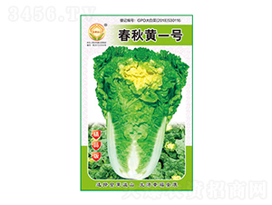 �ײ˷N��-�����Sһ̖��Ʒ��-̫���N�I(y��)