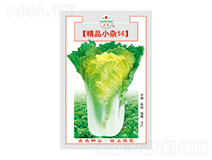 �ײ˷N��-��ƷС�s56-̫���N�I(y��)