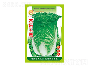 �ײ˷N��-̫����̖��Ʒ��-̫���N�I(y��)