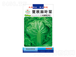 �ײ˷N��-�������~��-̫���N�I(y��)