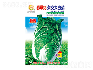 �ײ˷N��-����66-̫���N�I(y��)