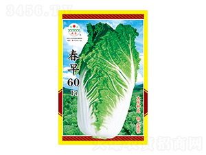 �ײ˷N��-����60F1-̫���N�I(y��)